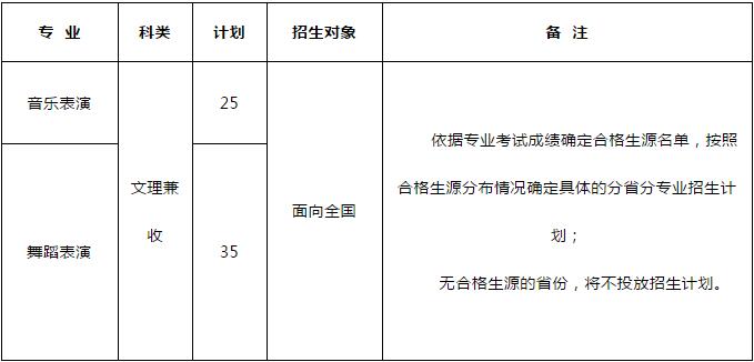 重庆大学2019音乐表演、舞蹈表演专业招生简章