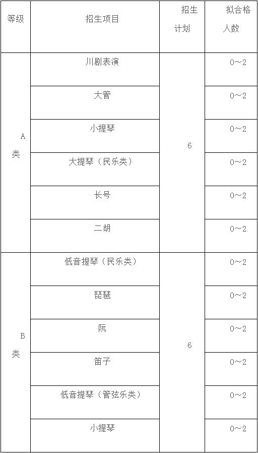 2019年重庆大学高水平艺术团招生简章